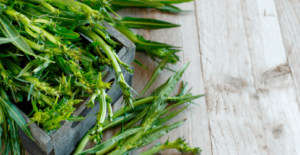 Puntarelle-che-sana-passione-Tiberino-Roma